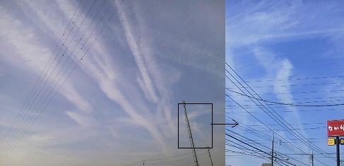 120447.jpg nk_