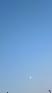 147019.jpg nk_