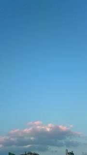 147021.jpg nk_