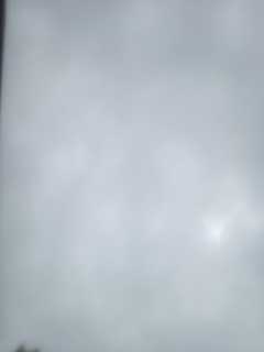 162338.jpg nk_