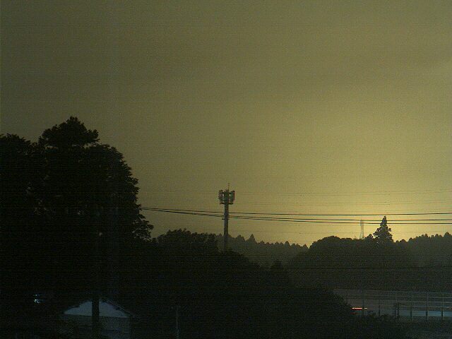166309.jpg nk_