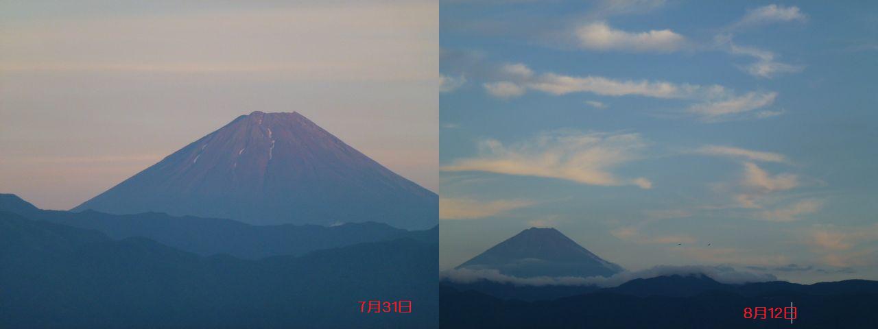 177849.jpg nk_