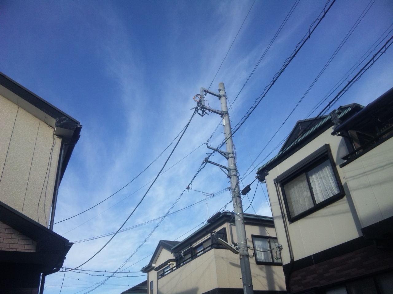 188049.jpg nk_